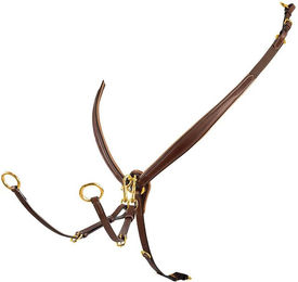 Produktbild von Lederhalsband mit Schnalle Equestro