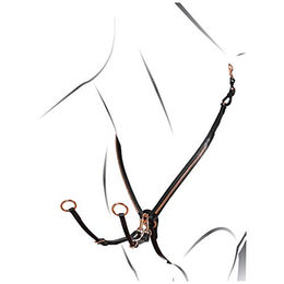 Produktbild von Lederjägerhalsband Equestro