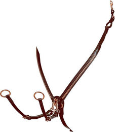 Produktbild von Lederjägerhalsband Equestro