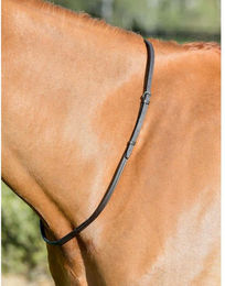 Lederneigung für Pferd Kincade Classic – Bild 1 von 2