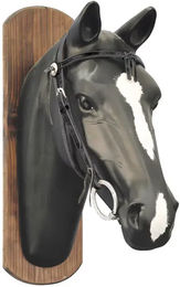 Produktbild von Lederpferdehalftern mit Zügeln Lakota Grasso