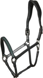 Produktbild von Lederriemen für Pferde Catago Arrow