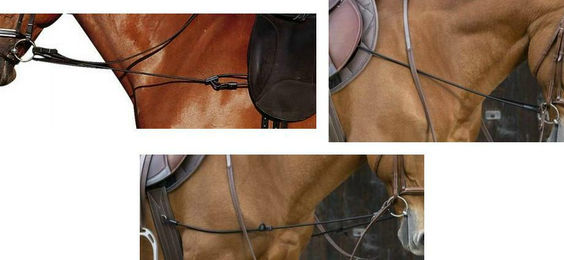 Lehmann Trainingssystem – Bild 1 von 2