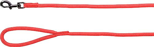 Produktbild von Leine Aiden rot 300 cm 12 mm - 300 cm