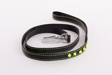 Produktbild von Leine für Hunde fluoreszierend Martin Sellier