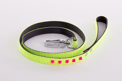 Produktbild von Leine für Hunde fluoreszierend Martin Sellier
