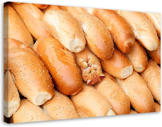 Produktbild von Leinwandbild Brötchen Oreo Katzenfutter 60x40 orange