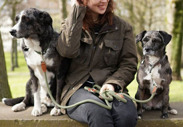Produktbild von Leisegrün Hundeleine Hundeleine große Hunde Führleine