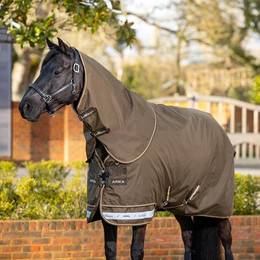 Produktbild von LeMieux Arika 600D Ripstop 0g Turnout Rug