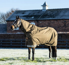 Produktbild von LeMieux Arika 600D Ripstop 200g Turnout Rug