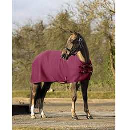 Produktbild von LeMieux Arika Clima-Tek Pferdedecke Burgunderrot
