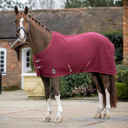 Produktbild von LeMieux Arika Clima-Tek Pferdedecke Burgunderrot