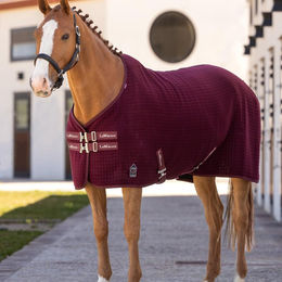 Produktbild von LeMieux Arika Clima-Tek Stalldecke