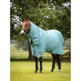 Produktbild von LeMieux Arika Ripstop 0g Turnout Rug