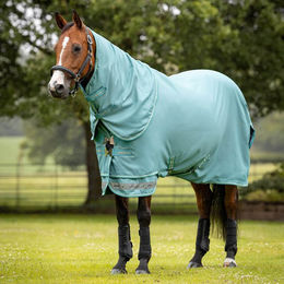 Produktbild von LeMieux Arika Ripstop 50g Turnout Rug
