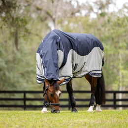 LeMieux Arika Shower-Tek wasserdichte Fliegendecke für Pferde – Bild 1 von 6