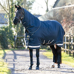 Produktbild von LeMieux Arika Storm-Tek Rug 100g