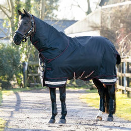 Produktbild von LeMieux Arika Storm-Tek Rug 350g