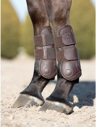 LeMieux Capella Offene Vorderbeingamaschen – Bild 1 von 9