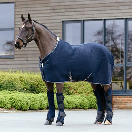 Produktbild von LeMieux Kudos 3D Mesh Travel Rug