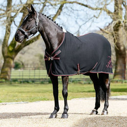 Produktbild von LeMieux Kudos Bamboo Cooler