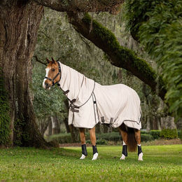 Produktbild von LeMieux Kudos Field Rug