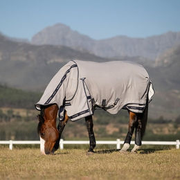 Produktbild von LeMieux Kudos Gladiator Fly Rug