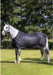 Produktbild von LeMieux Kudos Mesh Sports Cooler