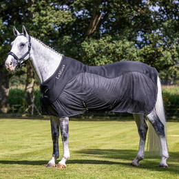 Produktbild von LeMieux Kudos Mesh Sports Cooler