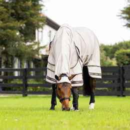 LeMieux Kudos Sweet Itch Pferdedecke - 1,5 m – Bild 1 von 7