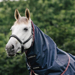 Produktbild von LeMieux Kudos Turnout Neck Cover 200g