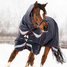 Produktbild von LeMieux Kudos Turnout Rug 200g