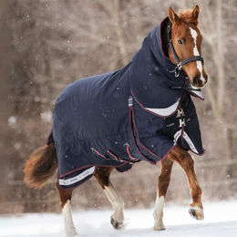 Produktbild von LeMieux Kudos Turnout Rug 350g