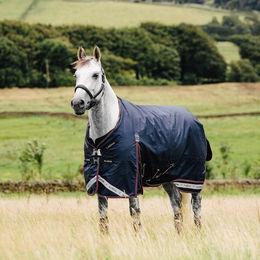 Produktbild von LeMieux Kudos Turnout Rug 50g