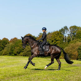 Produktbild von LeMieux Loire Dressage Schabracke