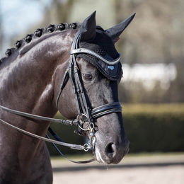Produktbild von LeMieux Loire Fliegenhaube