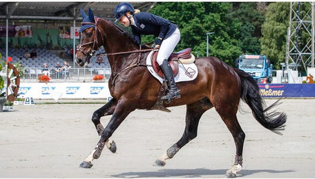 LeMieux Pro Sport Close-Contact-Schabracke quadratisch gesteppt – Bild 1 von 6