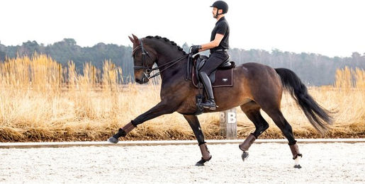 LeMieux Puissance Dressur Schabracke Wildleder S/M – Bild 1 von 6