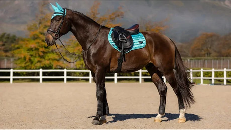 Produktbild von LeMieux Springschabracke Loire Classic Satin Square