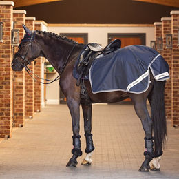 Produktbild von LeMieux Wasserdichte Nierendecke Arika - 1 Stk.