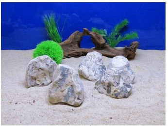 Produktbild von Leopardenstein S Aquavie