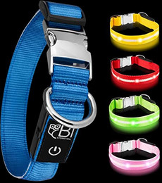 Produktbild von Leuchthalsband für Hunde mit LED und Metallverschluss - 1 Stk.