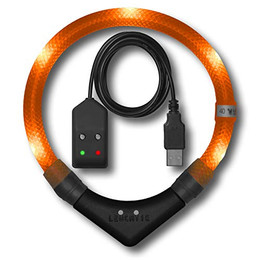 Produktbild von LEUCHTIE Leuchthalsband Easy Charge für Hunde, USB aufladbar, wasserdichtes LED Halsband, Sunset orange, Größe 50 - 1 Stk.