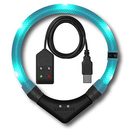 Produktbild von LEUCHTIE® Leuchthalsband Easy Charge für Hunde, USB aufladbar, wasserdichtes LED Halsband, türkis, Größe 55 - 1 Stk.
