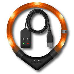 LEUCHTIE Leuchthalsband Easy Charge USB aufladbar für Hunde - 1 Stk. – Bild 1 von 6
