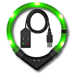 Produktbild von LEUCHTIE Leuchthalsband Easy Charge USB aufladbar neongrün Größe 40 - 1 Stk.