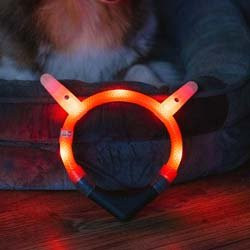 Produktbild von LEUCHTIE® Zapfen-Leuchtanhänger Brightness, Länge: ca. 6 cm