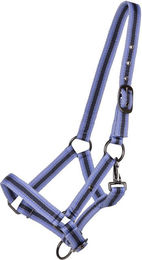 Produktbild von Licol de poulain collection pour cheval QHP