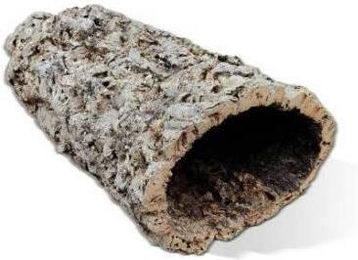 Produktbild von Liege Extra Typ 2 Aquavie