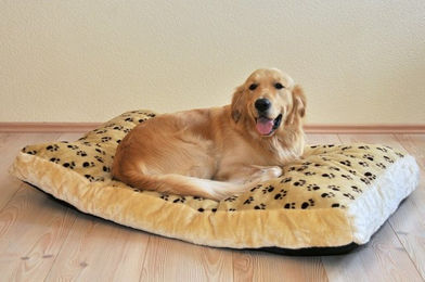 Produktbild von Liegewiese Silvio, 42 x 75 x 8 cm, beige/braun - 42 cm